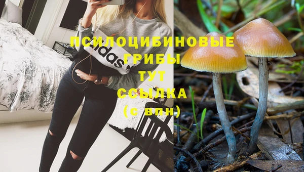 каннабис Богородицк