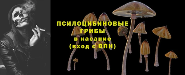 каннабис Богородицк