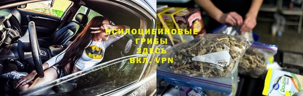эйфоретик Богородск